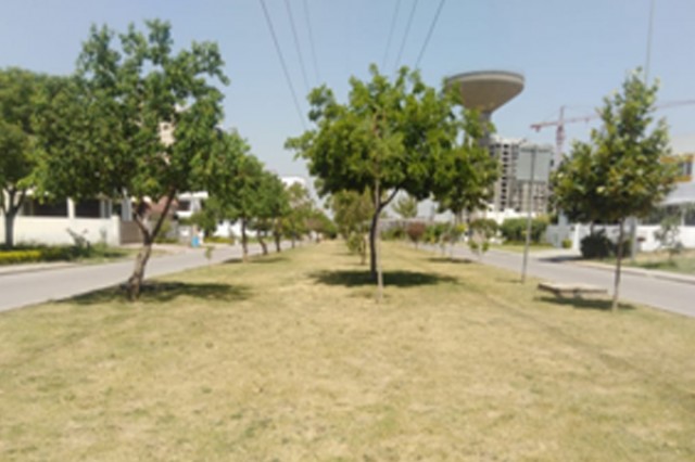Development of Green Belts at Power Avenue DHA Phase-II