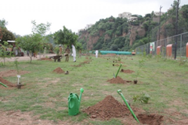 Plantation Site
